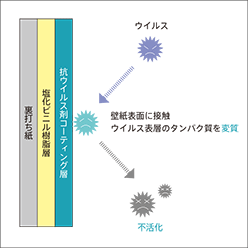 ウイルス対策と細菌対策に有効な「抗ウイルス壁紙」